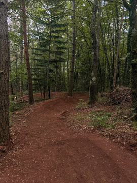 MTB Osojnica